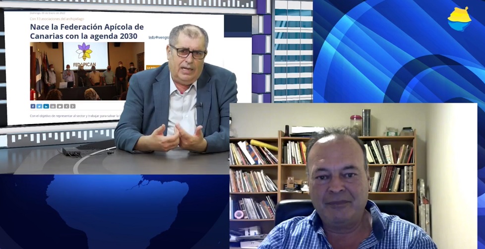 Apicultores en Gran Canaria Televisión