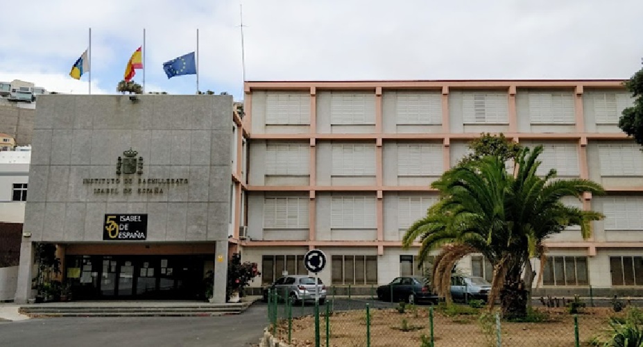 Avispas asiáticas vuelven a reconstruir el nido en LPGC
