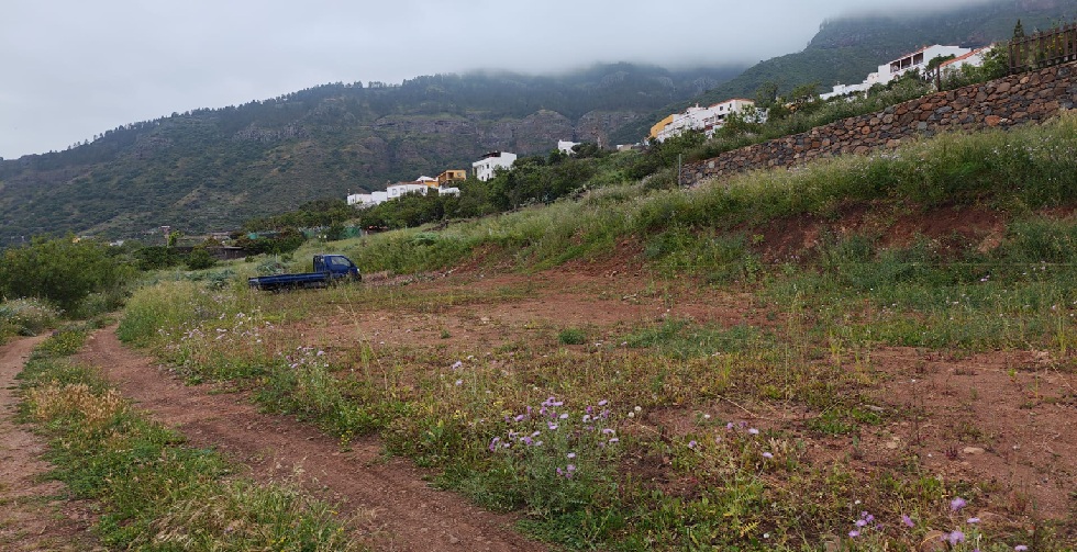 Median&iacute;as de Gran Canaria. Era de Mota. Foto Areyes
