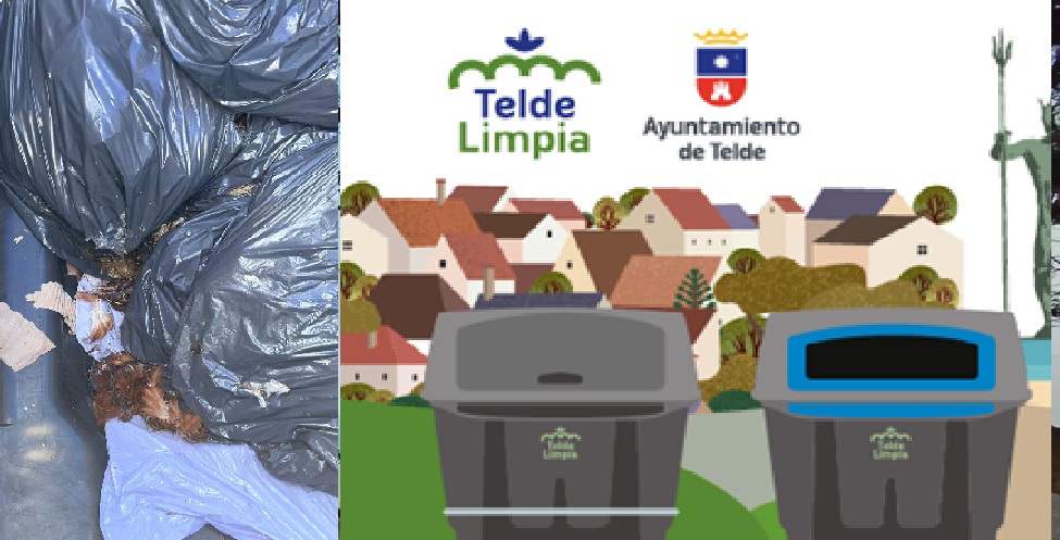 4 Dias con animales muertos sin retirar en La Gavia