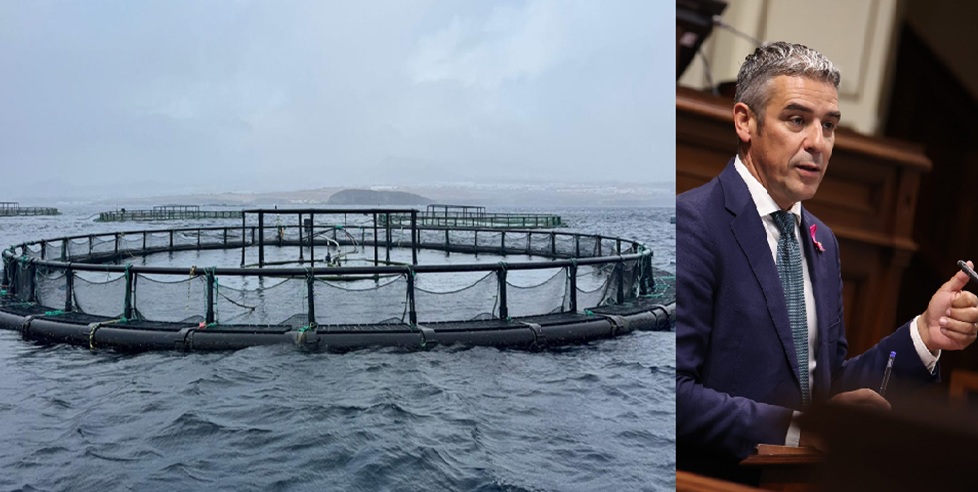 Narvay Quintero, Consejero de Pesca de Canarias. Foto Gob.Can