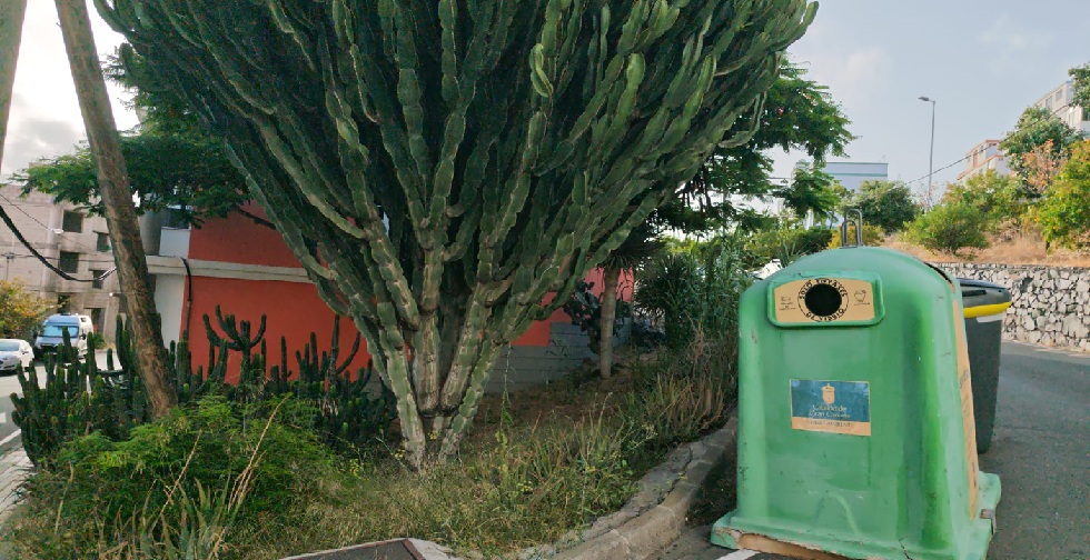 La Herradura preocupada por miedo a perder sus cardones