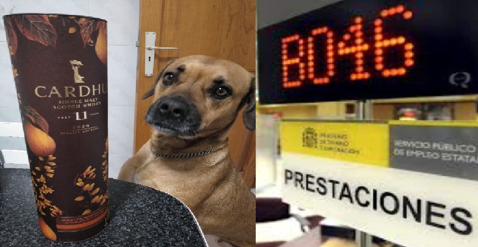 Causante de las perrerías en Ciudad Alta