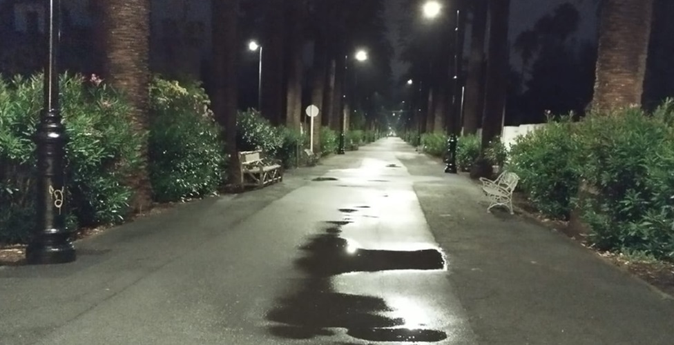 Foto de J. Alonso