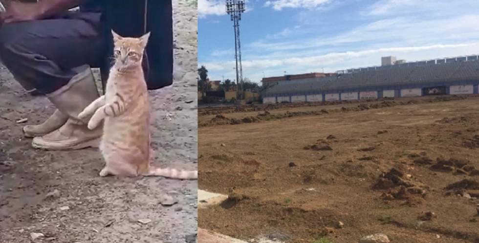 El Gatito Henríquez sacando cuentas en el Campo de Maspalomas